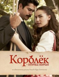 Королёк — птичка певчая